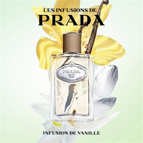 prada vanilla infusion.